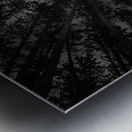 JBS 5553  Metal print