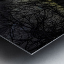 JBS 4554  Metal print