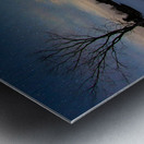 JBS 3992 2 Metal print