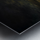 JBS 4521 2  Metal print