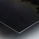 JBS 5134 Metal print