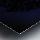 JBS 4719  Metal print