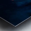 JBS 9706 4 Metal print