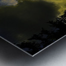 JBS 2966 Metal print