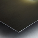 JBS 4756  Metal print