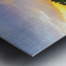 river 2020 Metal print