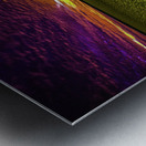 JBS 3554 Metal print