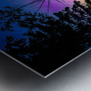 JBS 7929 Metal print