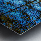 JBS 7909 Metal print