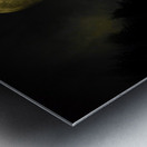 JBS 4093 Metal print