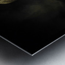 JBS 4030 Metal print