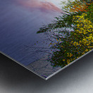 ZJS 5785 Metal print