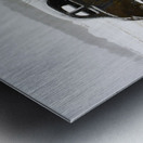 JBS 5025 Metal print