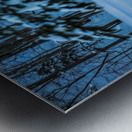 DSC 5646 Metal print