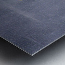 JBS 4477 Metal print