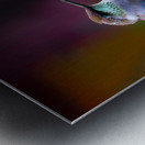 JBS 4382 Metal print