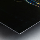 JBS 3176 Metal print