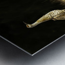 JBS 0909 Metal print