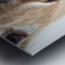 JBS 0540 Metal print