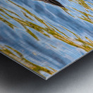 JBS 2192 Metal print