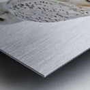 DSC 1876 Metal print