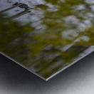  JBS5840 1 Metal print