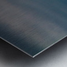 JBS 4325 Metal print