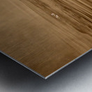 DSC 1719 Metal print