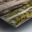 JBS 2614  Metal print