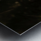 JBS 0918 Metal print