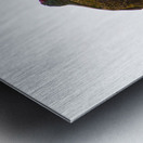 JBS 3472 Metal print