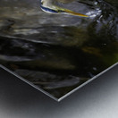 JBS 1574 Metal print