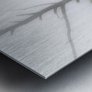 JBS 1831 Metal print