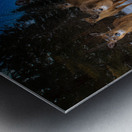 JBS 3174 2  Metal print