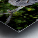 JBS 3072 Metal print