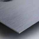 JBS 3105 Metal print