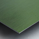 JBS 4152 Metal print