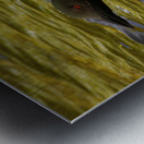 JBS 2224 Metal print