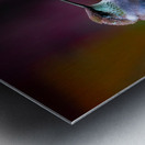 JBS 4382 2 Metal print