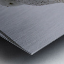 DSC 1879 Metal print