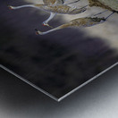 JBS 0650 Metal print