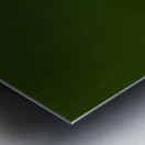 JBS 1467 Metal print