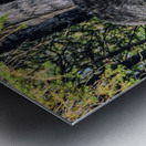 JBS 2617-1 Metal print