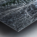 DSC 5638 Metal print