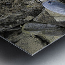 JBS 1629 Metal print