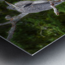 JBS 3060 Metal print