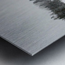 JBS 7558 Metal print