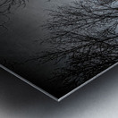 JBS 0236  Metal print