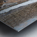 JBS 8854 Metal print