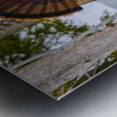 JBS 5958 Metal print